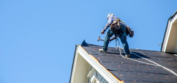 Best Roof Gutter Cleaning  in Silver Hill, MD